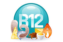 VITAMINA B12 VITAMINA B12