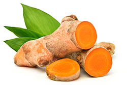 CURCUMA CURCUMA
