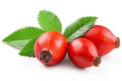 Estratto di rosa canina Estratto di rosa canina