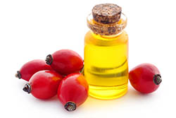 Olio di rosa canina Olio di rosa canina