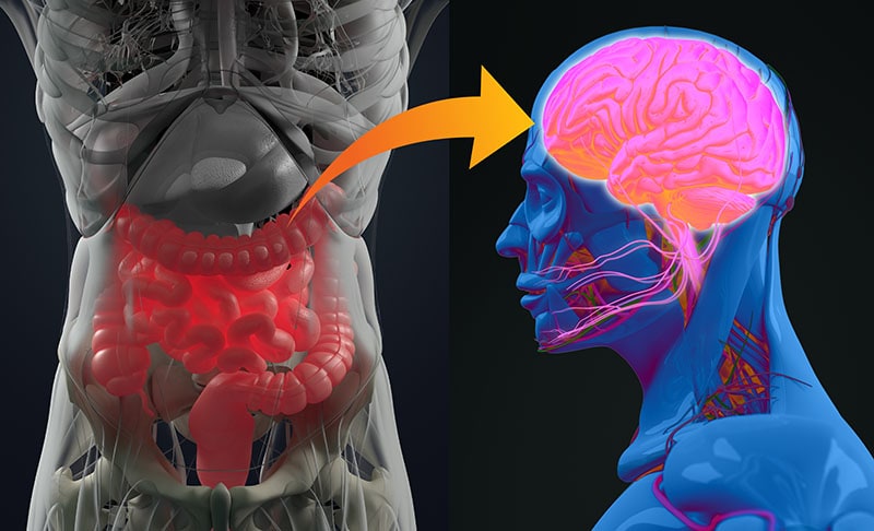 Gut Restore Gut Restore