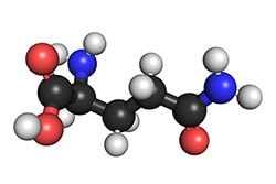 L-GLUTAMMINA L-GLUTAMMINA