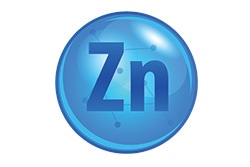 Lo zinco Lo zinco