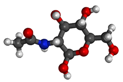 Acetyl Glucosamina