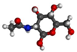 Acetyl Glucosamina Acetyl Glucosamina