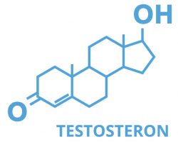 La produzione di testosterone