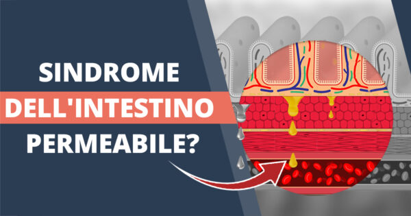 Sindrome dell’intestino permeabile
