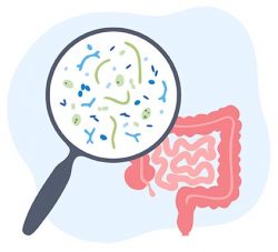 microbioma intestinale