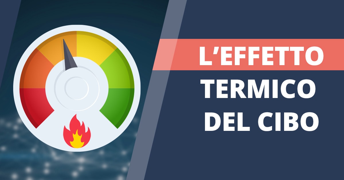 Termogenesi elenco dei 6 alimenti che bruciano più calorie