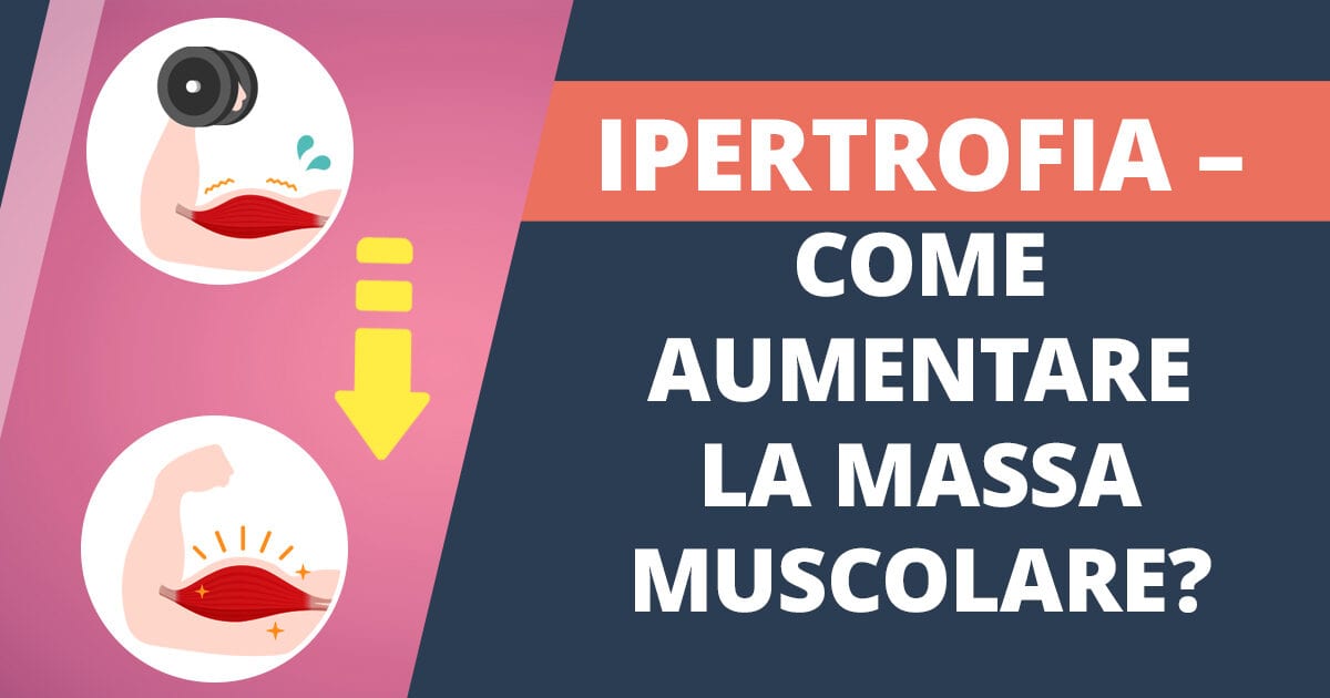 Ipertrofia muscolare: come aumentare la massa muscolare?