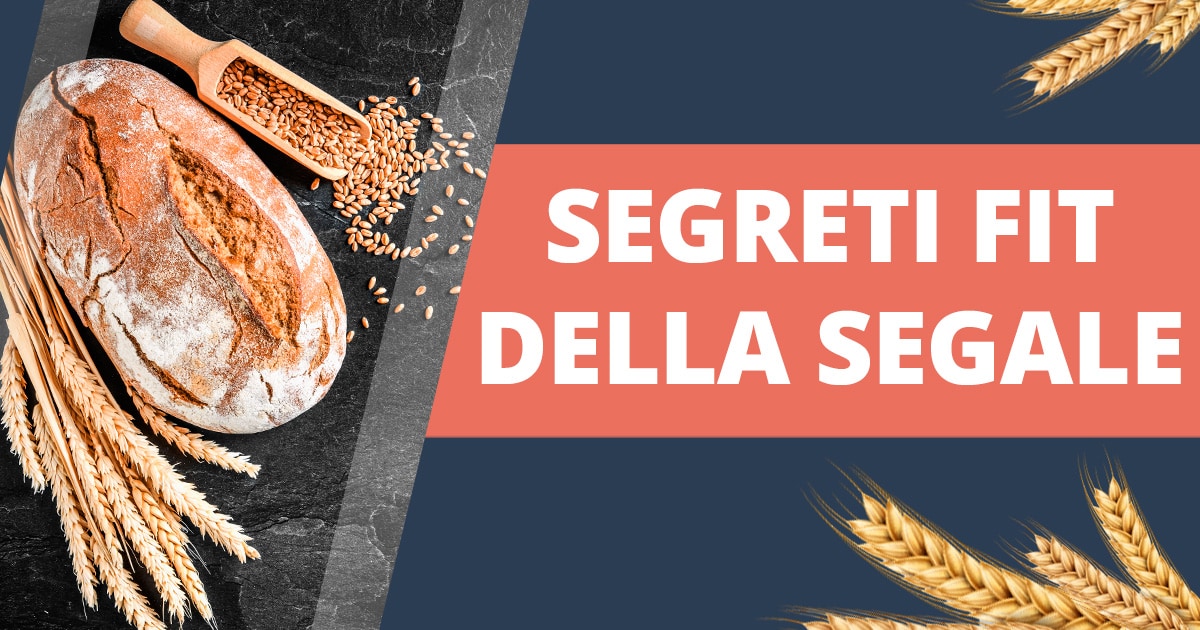 Segale: proprietà e benefici di questo cereale